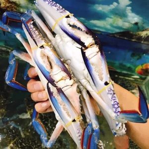 GHẸ XANH LOẠI ĐẶC BIỆT (4-6con/kg)