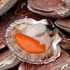 TOPPING LẨU- SÒ ĐIỆP NHẬT (100G)