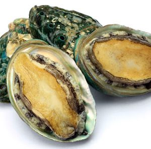 TOPPING LẨU- BÀO NGƯ TƯƠI(con)