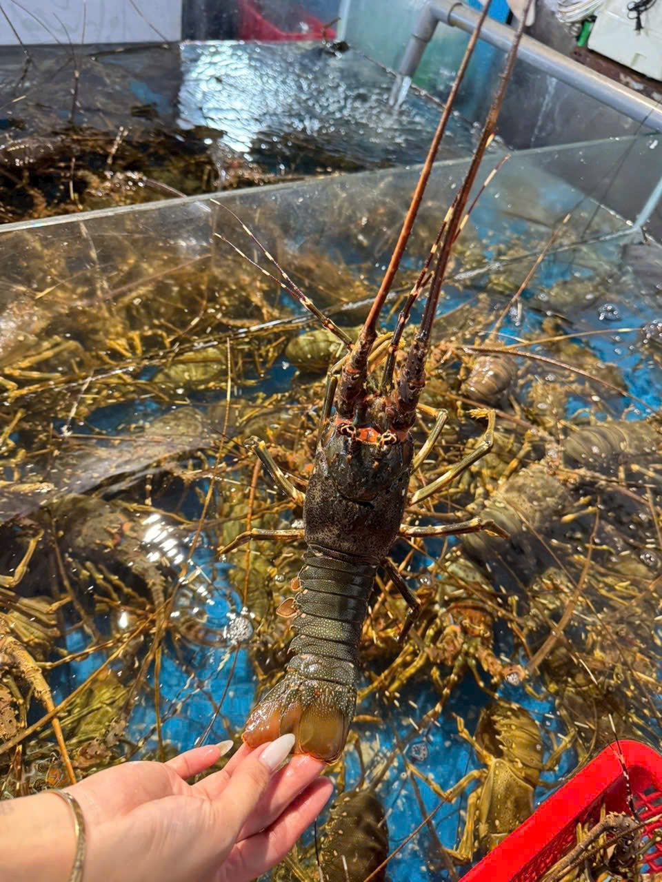 556017877_802889832150703_8226379548802366117_n