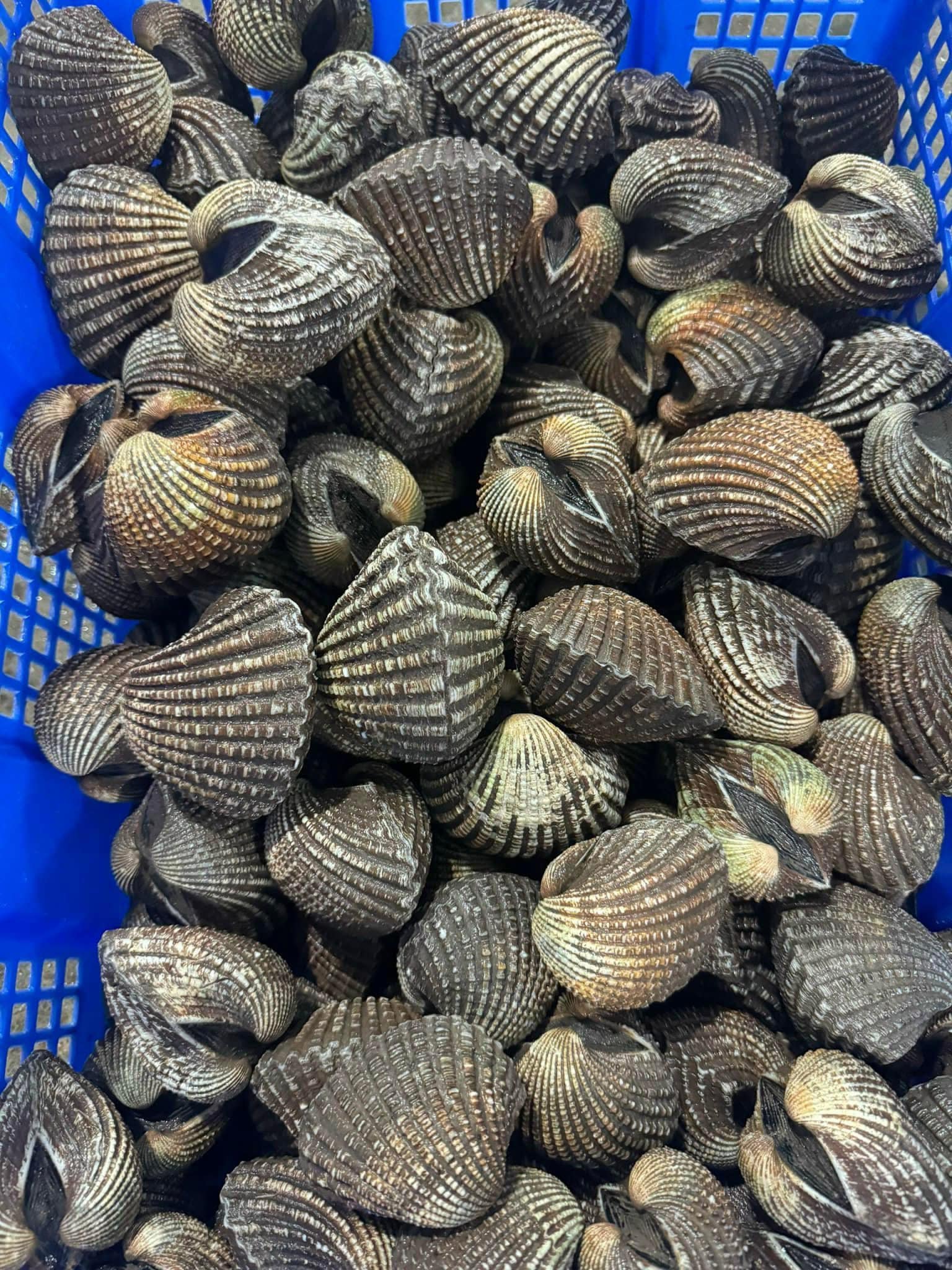 484794298_657940166645671_2625748068880062517_n