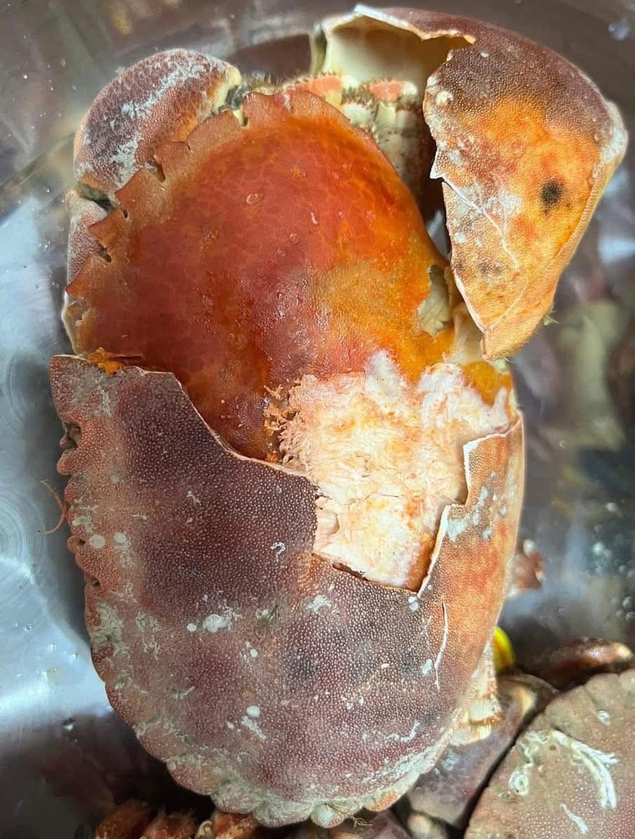 492127047_682088354230852_5646150297201775621_n