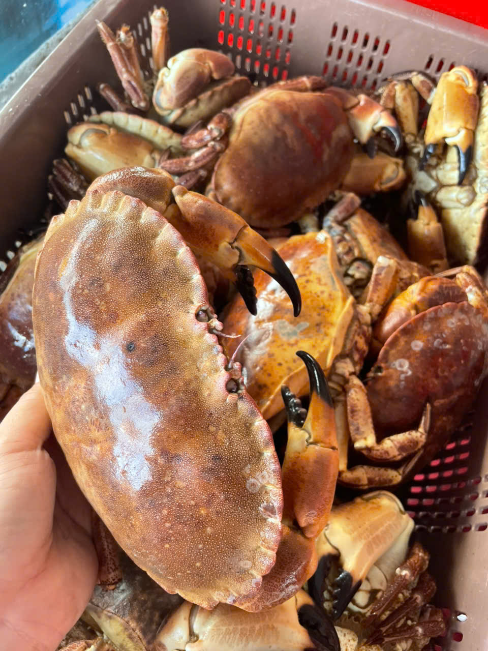 ea1e45cf-33cc-42af-838b-1ff43aee79eb