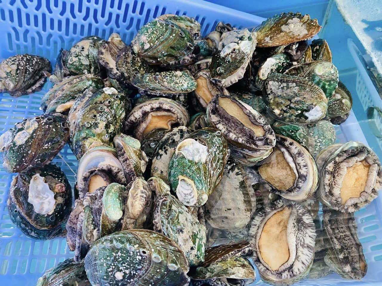 484653557_656979726741715_3132010975814568490_n