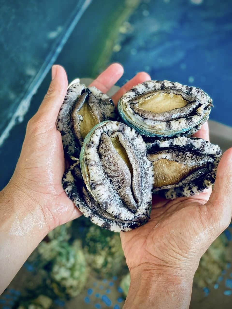 485047148_656977743408580_4183785423596247307_n