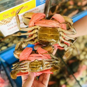 CUA GẠCH LOẠI 2 (4-5 CON/KG)