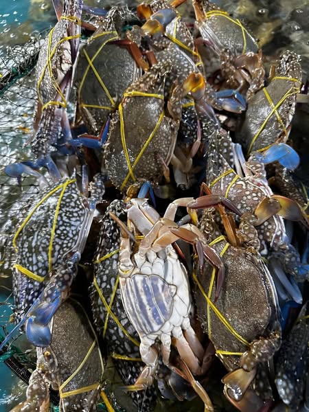 468854301_585952833844405_5976847854004333268_n