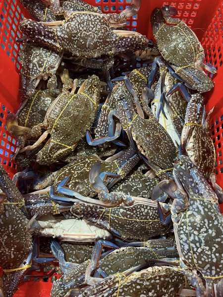 468939867_585952887177733_4933069391996917404_n