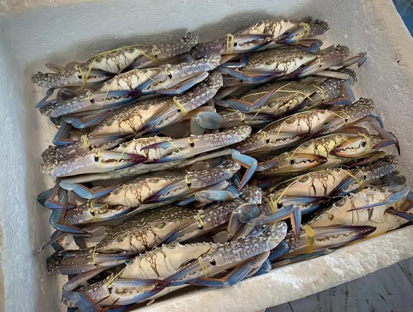 472785676_1045396797626650_6973978503830019096_n