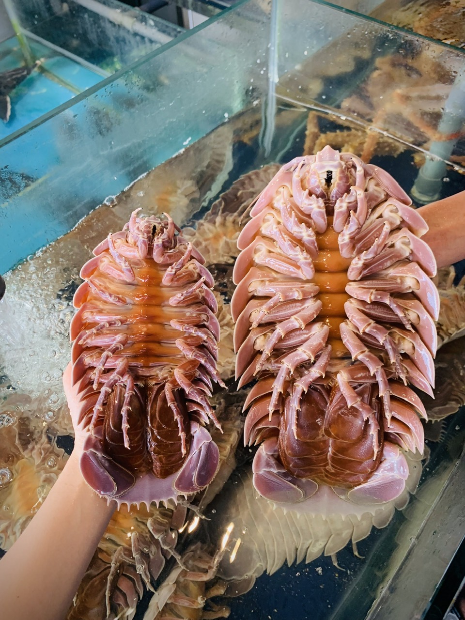 z6469872015700_4fc8ab73d706ebe07e5508c069c253e0