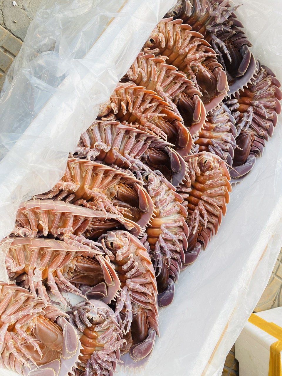 z6469875019895_bc7b098d21ee43ae8fc2a471fe4576c5